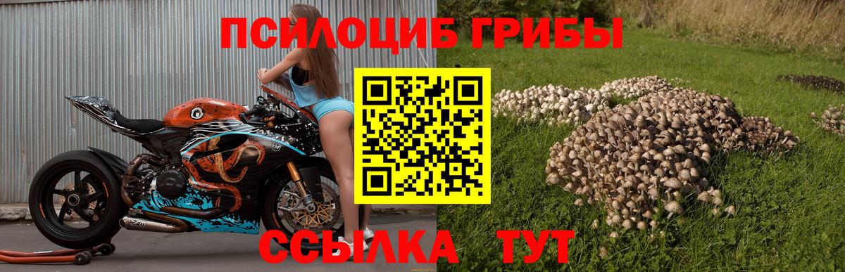 Дюртюли  Псилоцибиновые грибы Psilocybine cubensis  Вход с VPN 
